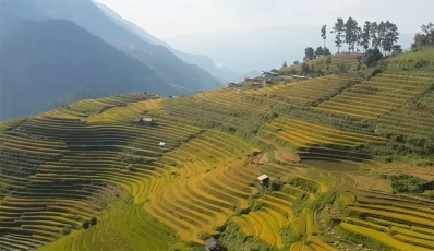 Travel to Vietnam in August