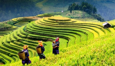 Travel to Vietnam in November