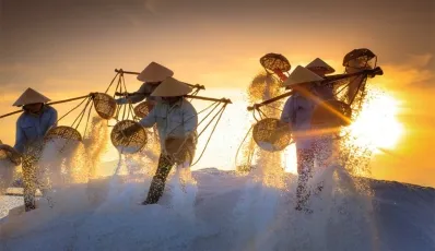 Travel to Vietnam in July