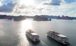 Paradise elegance cruise halong bay 3 days 2 nights