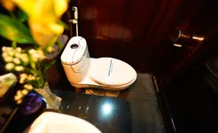 Swan Cruise Bathroom