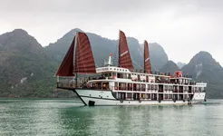 Vspirit Premier Cruise - Overview