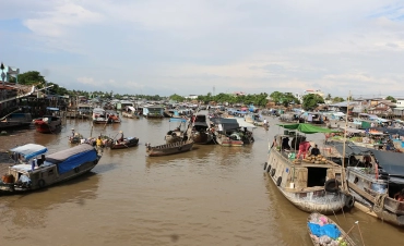 Mekong Delta Discovery