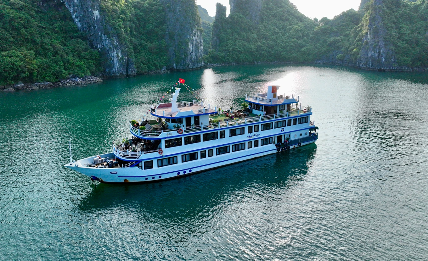 Swan Cruise - Bai Tu Long Bay 2 Days 1 Night